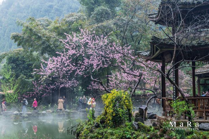 新年心愿|“中国好人”姚延顺:希望风湿性关节炎能好转